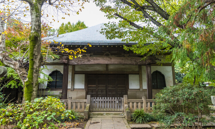 豪徳寺