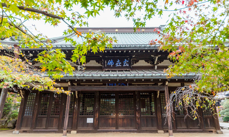 Gotoku-ji Temple