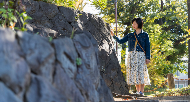 Setagaya Castle Park