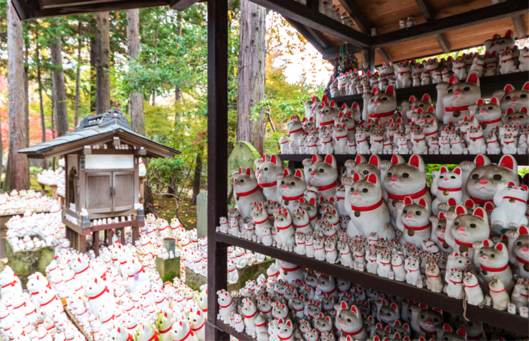 Gotoku-ji Temple