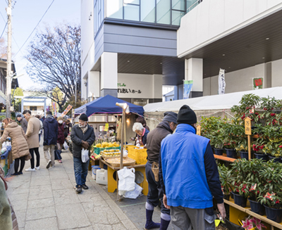 ボロ市