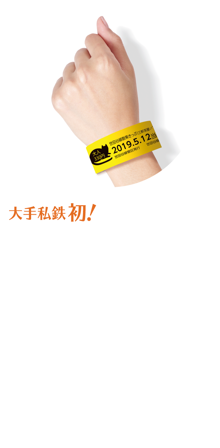 リストバンド型1日フリーきっぷ